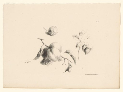 Apricots and strawberries