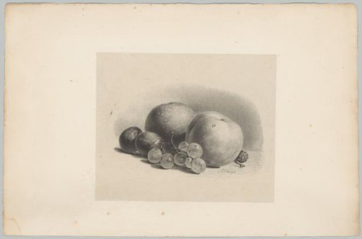 Peaches, plums, grapes and blackberries