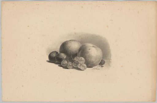 Peaches, plums, grapes and blackberries