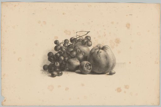 Grapes, apples, medlars and hazelnut