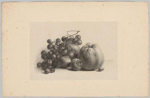 Grapes, apples, medlars and hazelnut