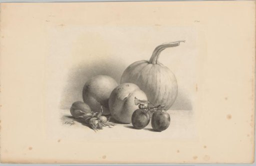 Pumpkin, peaches, apricots, plums and hazelnuts