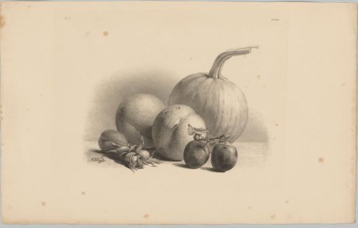 Pumpkin, peaches, apricots, plums and hazelnuts