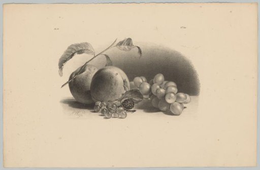 Apples, berries, blackberries and grapes