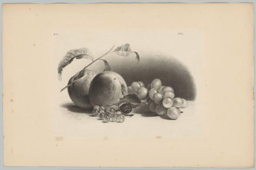 Apples, berries, blackberries and grapes