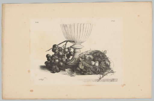 Still life with glass, grapes and a bird's nest