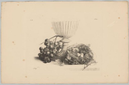 Still life with glass, grapes and a bird's nest