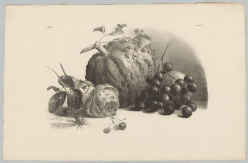 Pumpkin, grapes, rose and strawberries