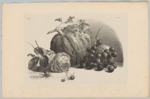 Pumpkin, grapes, rose and strawberries