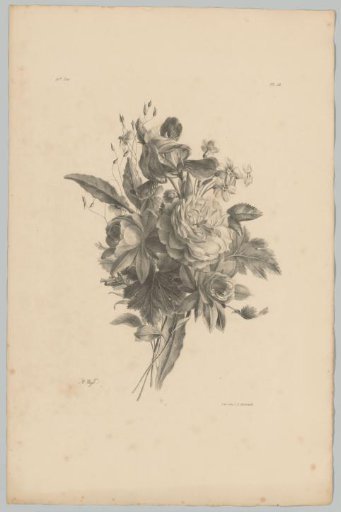Various flowers