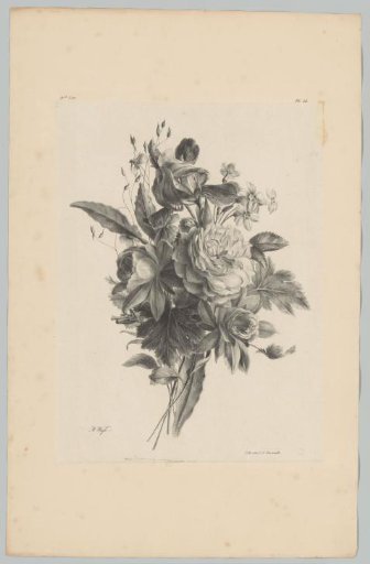 Various flowers