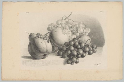 Pumpkin, currants, grapes and peaches
