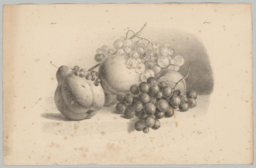 Pumpkin, currants, grapes and peaches