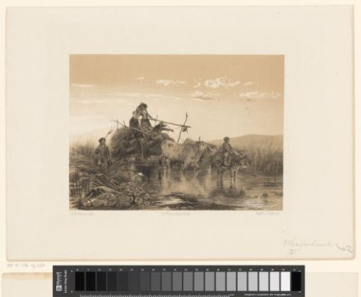 Hay Wagon Driving Through a Puddle