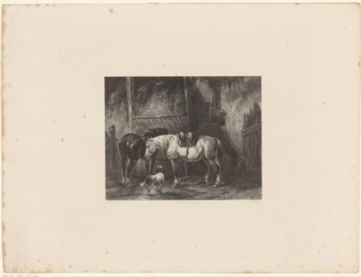 Two Horses and a Dog in a Stable