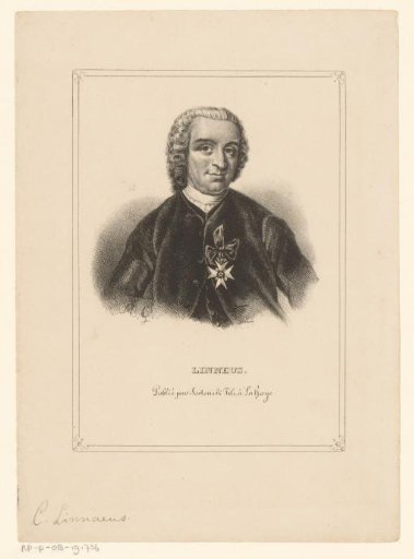Portrait of Carl Linnaeus