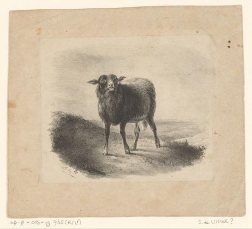 Sheep in a meadow landscape