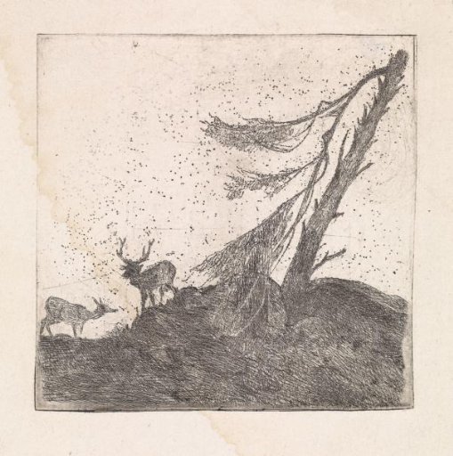 Two Deer by a Pine Tree