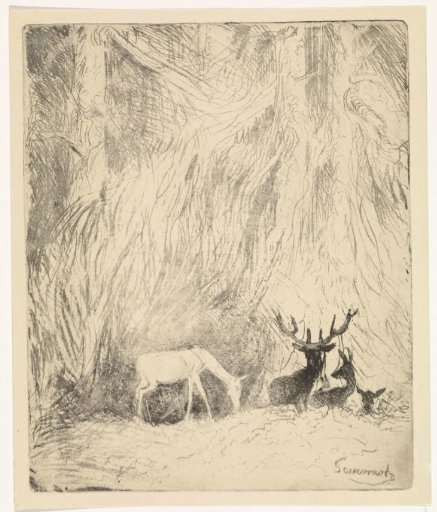 Deer in a Bohemian Forest
