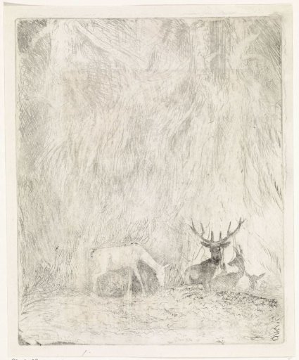 Deer in a Bohemian Forest