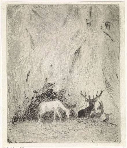 Deer in a Bohemian Forest
