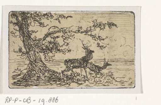 Two deer under a tree