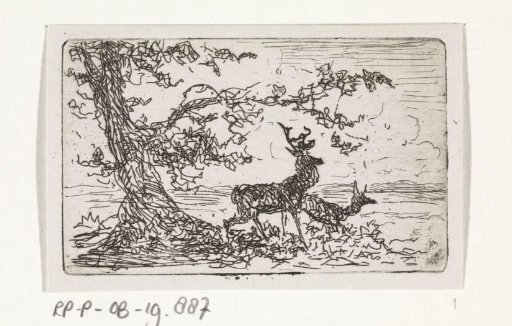Two deer under a tree