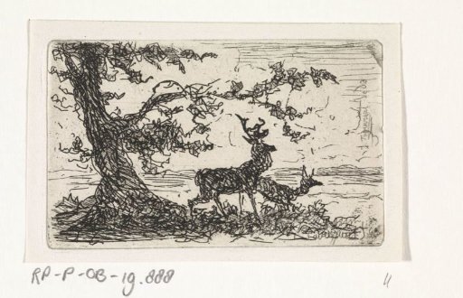 Two deer under a tree