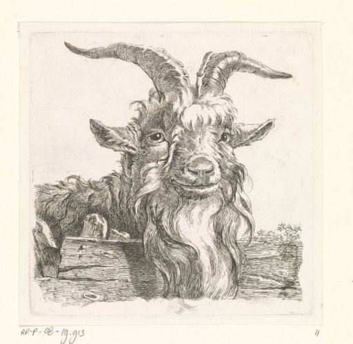Head of a goat