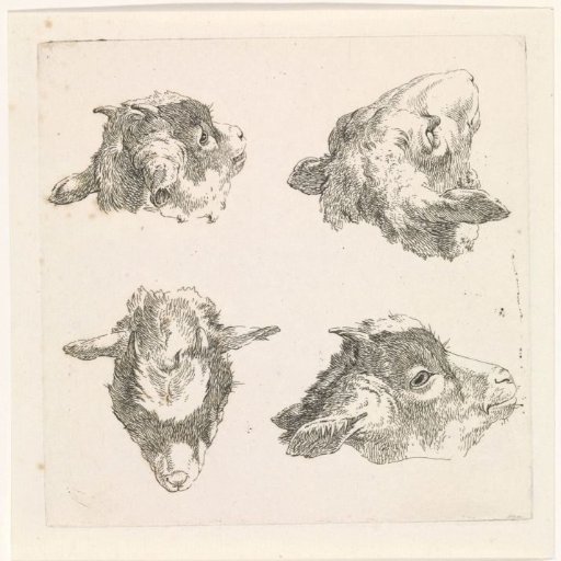 Four goat heads