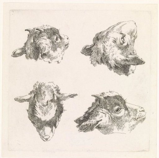 Four goat heads