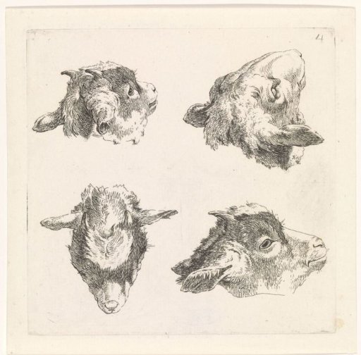 Four goat heads