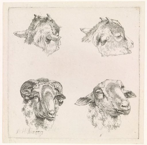 Four heads, of goats and a ram