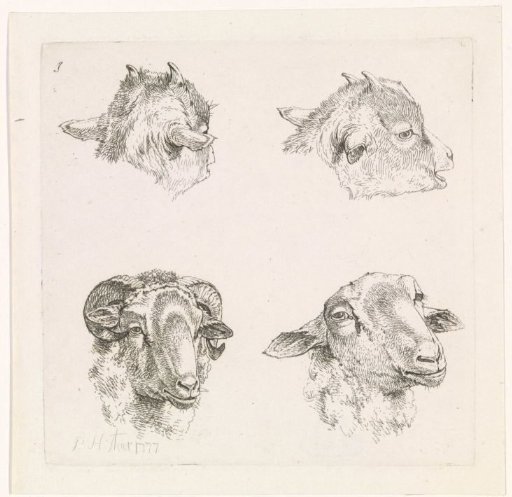 Four heads, of goats and a ram