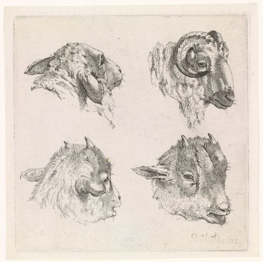 Four heads, of a ram and of goats