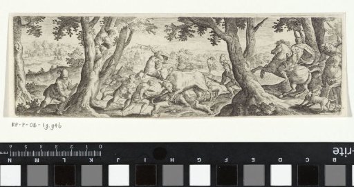 Bull Hunt