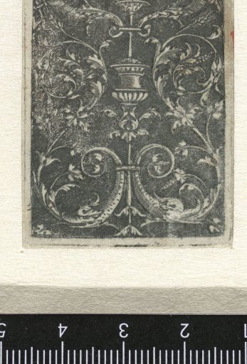 Ornament with scrollwork of leafy vines and cornucopias