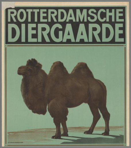 Rotterdam Zoo