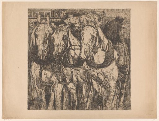 Three draft horses