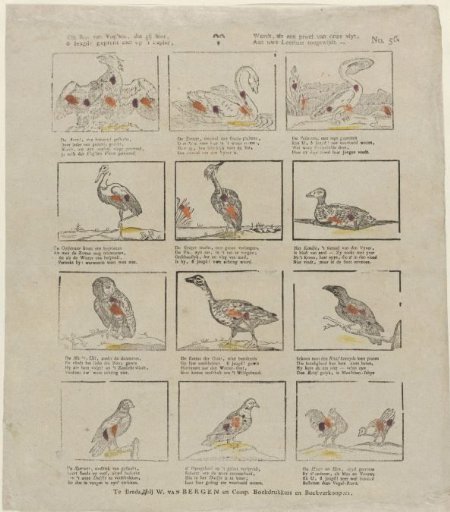 This race of birds, which you here, / O Youth! see printed on paper, / Is offered to your love of learning, / As a proof of our diligence.