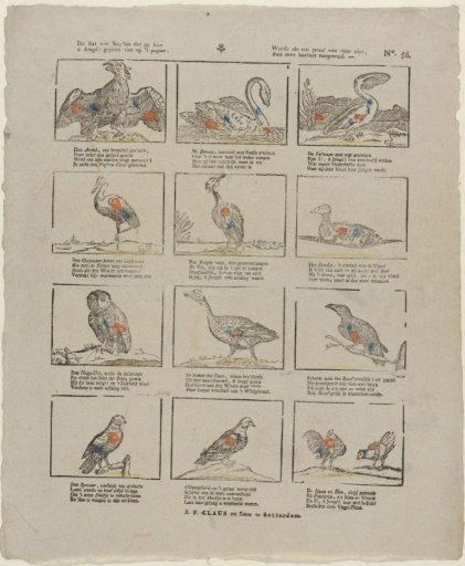 This race of birds, which you here, / O Youth! see printed on paper, / Is offered to your love of learning, / As a proof of our diligence.