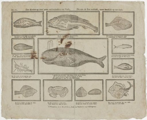 See children on this print variety of fish, / Which the sea provides to us, most tasty on the table