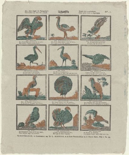 Behold, dear youth! this feathered livestock: / Many lands are adorned by them. / Birds are your delight, / This print is dedicated to you