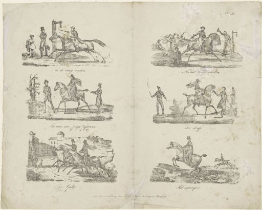 Horse Riding