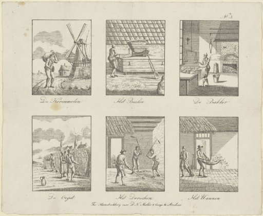 Grain Harvest and Processing