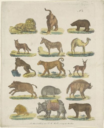 Animals