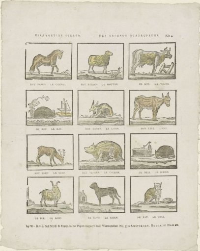 Quadrupeds / Des animaux quadrupedes