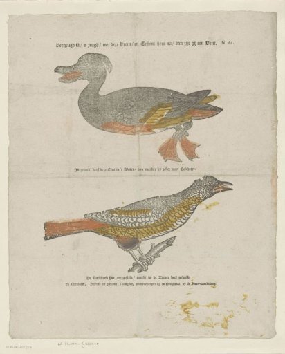 Rejoice, / o youth, / with this print / and copy it / then you will be a man