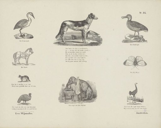 Various Subjects
