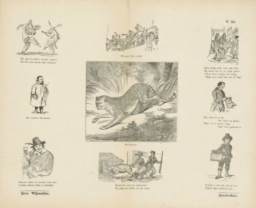 Various representations
